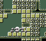 and [SPCLST] to try the GRUELING special stage!